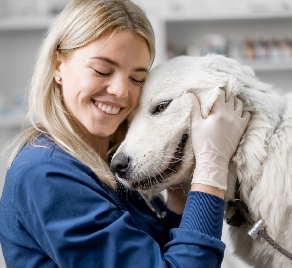 Dermatologia veterinaria a Cantú